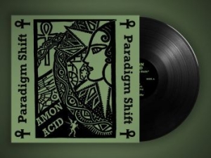 Amon Acid - Paradigm Shift (Vinyl Lp) i gruppen VINYL / Hårdrock/ Heavy metal hos Bengans Skivbutik AB (3970951)