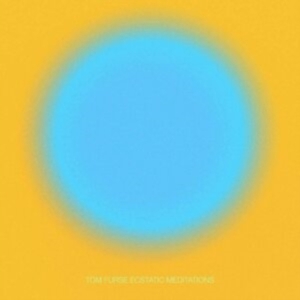 Furse Tom - Ecstatic Meditations i gruppen VINYL / Pop-Rock hos Bengans Skivbutik AB (3971729)