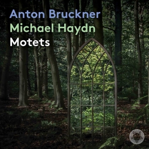 Bruckner Anton Haydn Johann Mich - Motets i gruppen MUSIK / SACD / Klassiskt hos Bengans Skivbutik AB (3971893)