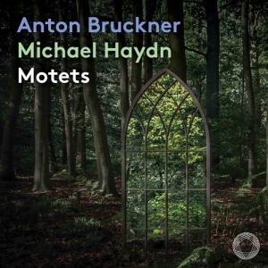 Bruckner Anton Haydn Johann Mich - Motets i gruppen Externt_Lager / Naxoslager hos Bengans Skivbutik AB (3971893)
