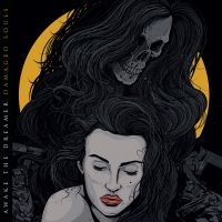 Awake The Dreamer - Damaged Souls i gruppen CD / Hårdrock hos Bengans Skivbutik AB (3975957)
