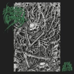 House By The Cemetary - Rise Of The Rotten i gruppen CD / Hårdrock hos Bengans Skivbutik AB (3976129)