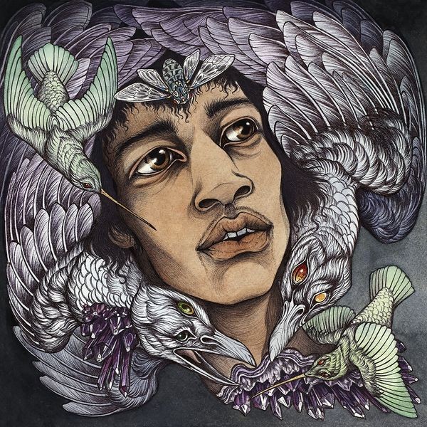 Various Artists - Best Of James Marshall Hendrix (Red i gruppen CD / Hårdrock/ Heavy metal hos Bengans Skivbutik AB (3976390)