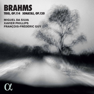 Brahms Johannes - Trio, Op. 114 Sonatas, Op. 120 i gruppen Externt_Lager / Naxoslager hos Bengans Skivbutik AB (3976452)