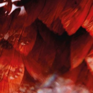 Tigana Santana - Vida Codigo/Meios i gruppen Minishops / Santana hos Bengans Skivbutik AB (3976614)