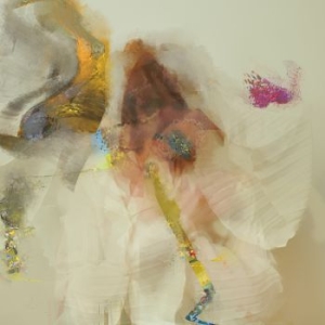 Flock Of Dimes - Head Of Roses i gruppen VINYL / Pop-Rock hos Bengans Skivbutik AB (3976729)