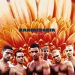 Rammstein - Herzeleid i gruppen ÖVRIGT / -Start BM CD hos Bengans Skivbutik AB (3976755)