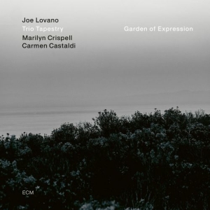 Joe Lovano Trio Tapestry - Garden Of Expression (Vinyl) i gruppen VINYL / Jazz hos Bengans Skivbutik AB (3976780)
