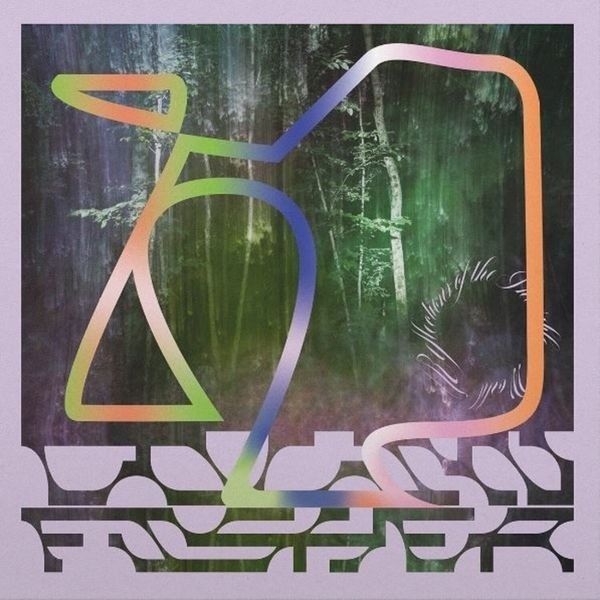 Colin Fisher - Reflections Of The Invisible World i gruppen VINYL / Rock hos Bengans Skivbutik AB (3977605)