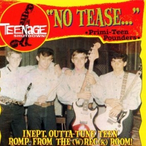 Various Artists - Teenage Shut Down - No Tease i gruppen CD / Pop-Rock hos Bengans Skivbutik AB (3977712)