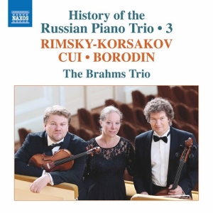 Borodin Alexander Cui Cesar Rim - History Of The Russian Piano Trio, i gruppen Externt_Lager / Naxoslager hos Bengans Skivbutik AB (3977782)