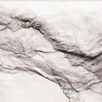 Albanese Federico - Federico Albanese - The Houseboat A i gruppen VINYL / Jazz,Pop-Rock hos Bengans Skivbutik AB (3978462)