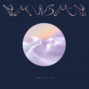 Hainbach - Landfill Totems i gruppen VINYL / Pop-Rock hos Bengans Skivbutik AB (3979570)