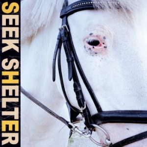 Iceage - Seek Shelter i gruppen CD / CD Punk hos Bengans Skivbutik AB (3979684)