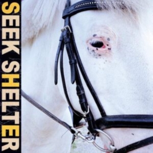 Iceage - Seek Shelter i gruppen CD / Pop-Rock hos Bengans Skivbutik AB (3979684)
