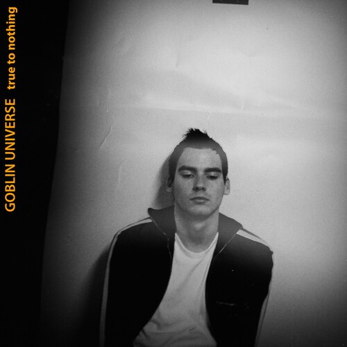 Goblin Universe - True To Nothing i gruppen CD / Rock hos Bengans Skivbutik AB (3979707)