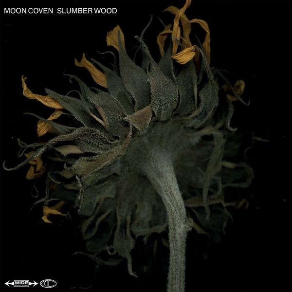 Moon Coven - Slumber Wood i gruppen CD / Hårdrock/ Heavy metal hos Bengans Skivbutik AB (3979864)