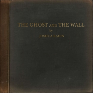 Radin Joshua - Ghost And The Wall i gruppen VINYL / Pop-Rock hos Bengans Skivbutik AB (3979946)