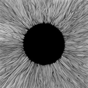 Vola - Witness i gruppen CD / Hårdrock,Pop-Rock hos Bengans Skivbutik AB (3979951)