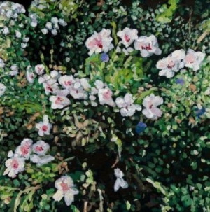 Locke Jess - Don't Ask Yourself Why (Clear Vinyl i gruppen VINYL / Pop-Rock hos Bengans Skivbutik AB (3981644)