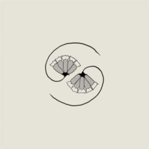 Godspeed You! Black Emperor - G_D's Pee At State's End! (Lp+10'') i gruppen VINYL / Pop-Rock hos Bengans Skivbutik AB (3981820)