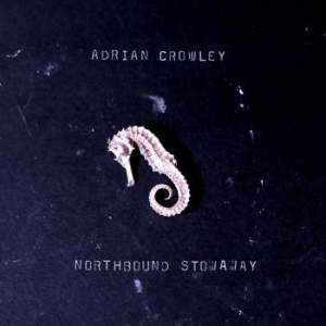 Crowley Adrian - Warching Eye Of The Stars i gruppen VINYL / Pop-Rock hos Bengans Skivbutik AB (3982719)