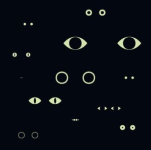 Birgitte Alsted Anders Brodsgaard - Animal Universe i gruppen Externt_Lager / Naxoslager hos Bengans Skivbutik AB (3983134)