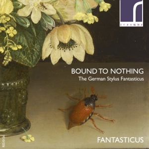 Fantasticus - Bound To Nothing: The German Stylus i gruppen Externt_Lager / Naxoslager hos Bengans Skivbutik AB (3983175)