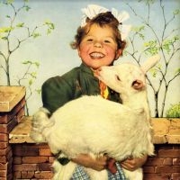 Euler-Donnersperg Ditterich Von - Weisheit Aus Des Kindes Mund Tut Un i gruppen VINYL / Pop-Rock hos Bengans Skivbutik AB (3983336)