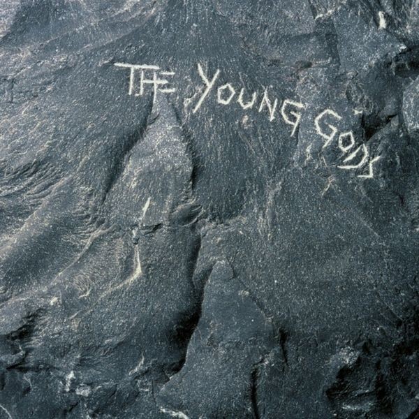 The Young Gods - Young Gods i gruppen VINYL / Rock hos Bengans Skivbutik AB (3983385)