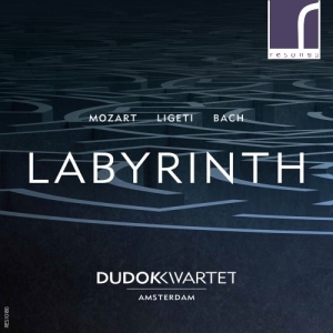 Mozart Wolfgang Amadeus Ligeti G - Labyrinth i gruppen Externt_Lager / Naxoslager hos Bengans Skivbutik AB (3984120)