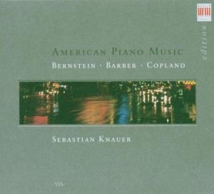 Various Composers - American Piano Works i gruppen Externt_Lager / Naxoslager hos Bengans Skivbutik AB (3985271)