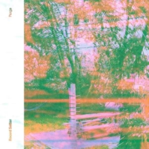 Record Setter - Purge (Pink Vinyl) i gruppen VINYL / Hårdrock hos Bengans Skivbutik AB (3985546)