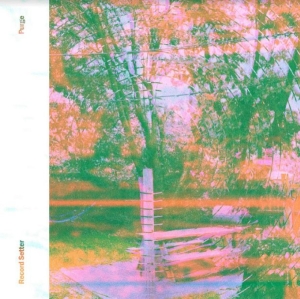Record Setter - Purge (Pink Vinyl) i gruppen VINYL / Hårdrock hos Bengans Skivbutik AB (3985546)