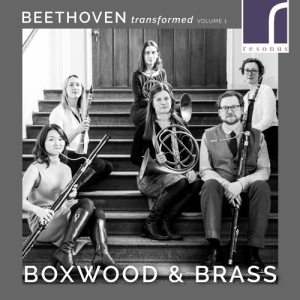 Beethoven Ludwig Van - Beethoven Transformed, Volume 1 i gruppen Externt_Lager / Naxoslager hos Bengans Skivbutik AB (3985709)