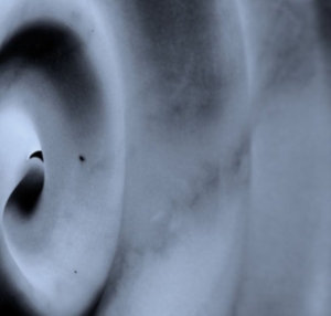 Dvoxx - Telegraphe i gruppen ÖVRIGT / Övrigt / aub hos Bengans Skivbutik AB (3987552)