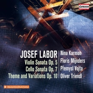 Josef Labor - Violin Sonata, Op. 5, Cello Sonata, i gruppen Externt_Lager / Naxoslager hos Bengans Skivbutik AB (3988823)