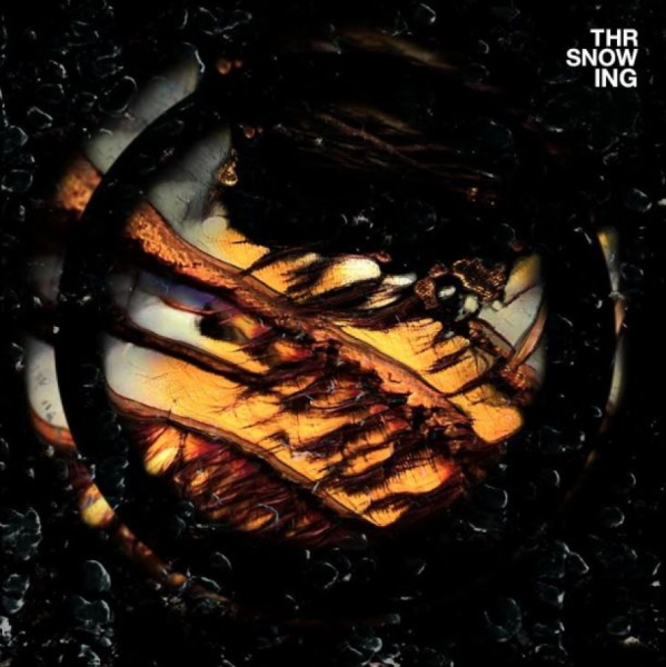 Throwing Snow - Dragons (Marbled Orange Vinyl) i gruppen VINYL / Toppsäljare hos Bengans Skivbutik AB (3989239)
