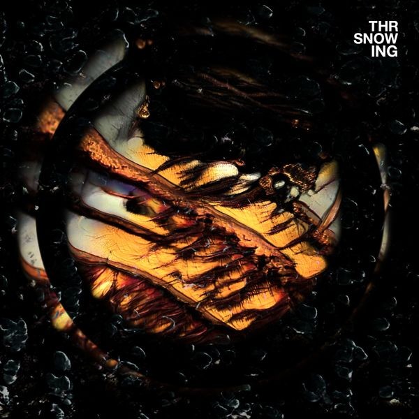 Throwing Snow - Dragons (Marbled Orange Vinyl) i gruppen VINYL / Rock hos Bengans Skivbutik AB (3989239)