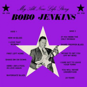Bobo Jenkins - My All New Life Story in the group OUR PICKS / Record Store Day / RSD-21 at Bengans Skivbutik AB (3990128)