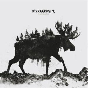 Bizarrekult - Vi Overlevde i gruppen VINYL / Hårdrock/ Heavy metal hos Bengans Skivbutik AB (3990280)