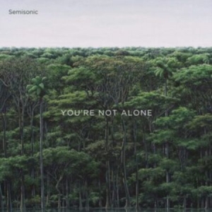 Semisonic - You're Not Alone i gruppen VINYL / Importnyheter / Pop hos Bengans Skivbutik AB (3992885)