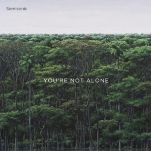 Semisonic - You're Not Alone i gruppen VINYL / Pop-Rock hos Bengans Skivbutik AB (3992885)
