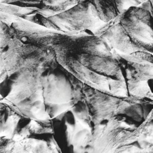 Tietchens Asmus/Miki Yui - Neues Boot i gruppen ÖVRIGT / Övrigt / aub hos Bengans Skivbutik AB (3994381)