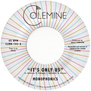 Monophonics - It's Only Us i gruppen VINYL / RnB-Soul hos Bengans Skivbutik AB (3997034)