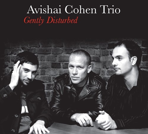 Avishai Cohen Trio - Gently Disturbed i gruppen CD / Toppsäljare hos Bengans Skivbutik AB (4000034)