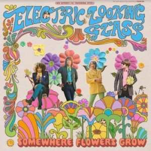 Electric Looking Glass - Somewhere Flowers Grow i gruppen VINYL / Pop-Rock hos Bengans Skivbutik AB (4000865)