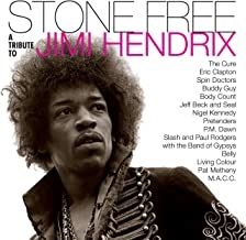 Various artists - Stone free-Tribute to Jimi Hendrix (clea i gruppen VINYL / Pop-Rock hos Bengans Skivbutik AB (4004878)