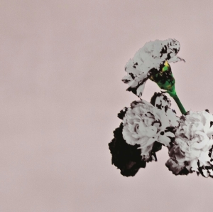 Legend John - Love In The Future (Special Edition) i gruppen CD / Pop-Rock hos Bengans Skivbutik AB (4005256)