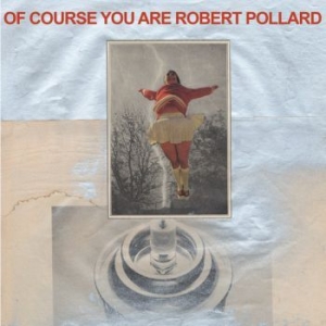 Pollard Robert - Of Course You Are i gruppen VINYL / Rock hos Bengans Skivbutik AB (4007546)